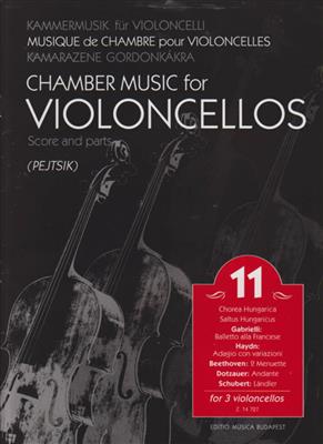 Chamber Music for/ Kammermusik für Violoncelli 11